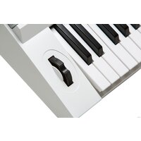 Синтезатор Kurzweil KP110 (белый) - Превью изображения №9 — Интернет-магазин ПроЗаказ