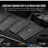 Оперативная память Corsair Dominator Platinum RGB 2x32ГБ DDR5 6600 МГц CMT64GX5M2B6600C32 - Превью изображения №15 — Интернет-магазин ПроЗаказ