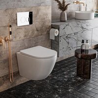 Унитаз подвесной Roxen Antares One Rimless 6 в 1 StounFix Dual Fresh 508565 (кнопка: хром) - Превью изображения №9 — Интернет-магазин ПроЗаказ