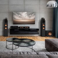 Проводной сабвуфер Klipsch R-101SW - Превью изображения №4 — Интернет-магазин ПроЗаказ