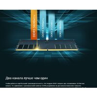Оперативная память Silicon-Power 32ГБ DDR5 5600 МГц SP032GBLVU560F02 - Превью изображения №7 — Интернет-магазин ПроЗаказ
