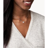 Колье Skagen SKJ1561040 - Превью изображения №4 — Интернет-магазин ПроЗаказ