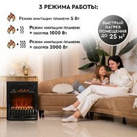 Электрокамин Planta PFP-FS400 (черный) - Превью изображения №8 — Интернет-магазин ПроЗаказ