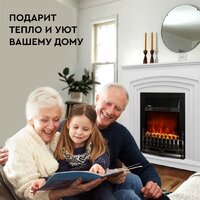 Электрокамин Planta PFP-FS400 (черный) - Превью изображения №6 — Интернет-магазин ПроЗаказ