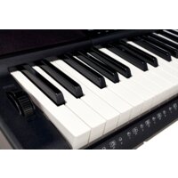 Синтезатор Casio CT-X800 - Превью изображения №13 — Интернет-магазин ПроЗаказ