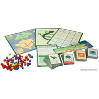 Настольная игра Правильные игры Эволюция. Подарочное издание - Превью изображения №6 — Интернет-магазин ПроЗаказ