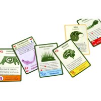 Настольная игра Правильные игры Эволюция. Подарочное издание - Превью изображения №14 — Интернет-магазин ПроЗаказ