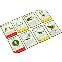 Настольная игра Правильные игры Эволюция. Подарочное издание - Превью изображения №12 — Интернет-магазин ПроЗаказ