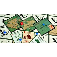 Настольная игра Правильные игры Эволюция. Подарочное издание - Превью изображения №18 — Интернет-магазин ПроЗаказ