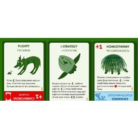 Настольная игра Правильные игры Эволюция. Подарочное издание - Превью изображения №9 — Интернет-магазин ПроЗаказ