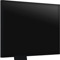 Монитор EIZO FlexScan EV2495-BK - Превью изображения №9 — Интернет-магазин ПроЗаказ