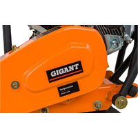 Виброплита Gigant BVP80-L200 - Превью изображения №14 — Интернет-магазин ПроЗаказ