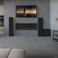 Проводной сабвуфер Klipsch R-121SW - Превью изображения №5 — Интернет-магазин ПроЗаказ