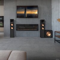 Проводной сабвуфер Klipsch R-121SW - Превью изображения №6 — Интернет-магазин ПроЗаказ