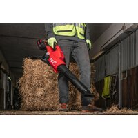 Садовая воздуходувка Milwaukee M18 FUEL M18F2BL-0 4933479987 (без АКБ) - Превью изображения №12 — Интернет-магазин ПроЗаказ