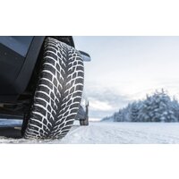 Зимние шины Nokian Tyres Hakkapeliitta R3 SUV 255/50R20 109R - Превью изображения №2 — Интернет-магазин ПроЗаказ