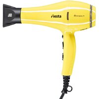 Dewal Fiesta 03-2010 Mango