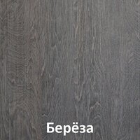 Стол Кортекс-мебель Эльф 120-3ш (береза) - Превью изображения №4 — Интернет-магазин ПроЗаказ