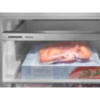 Холодильник Liebherr ICBNSd 5623 Plus BioFresh NoFrost - Превью изображения №18 — Интернет-магазин ПроЗаказ