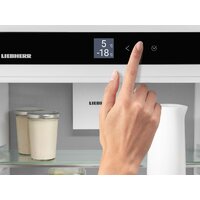 Холодильник Liebherr ICBNSd 5623 Plus BioFresh NoFrost - Превью изображения №4 — Интернет-магазин ПроЗаказ