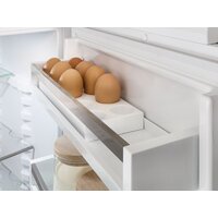 Холодильник Liebherr ICBNSd 5623 Plus BioFresh NoFrost - Превью изображения №9 — Интернет-магазин ПроЗаказ