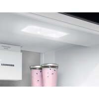 Холодильник Liebherr ICBNSd 5623 Plus BioFresh NoFrost - Превью изображения №5 — Интернет-магазин ПроЗаказ
