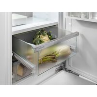 Холодильник Liebherr ICBNSd 5623 Plus BioFresh NoFrost - Превью изображения №15 — Интернет-магазин ПроЗаказ