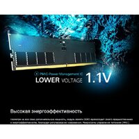 Оперативная память Silicon-Power 16ГБ DDR5 5600 МГц SP016GBLVU560F02 - Превью изображения №3 — Интернет-магазин ПроЗаказ