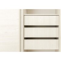 Шкаф-купе Рэйгрупп Bromo BBB 03 РГ-10.03 B 160 BBB 160x220.5 (дуб бордо лайт/белый) - Превью изображения №15 — Интернет-магазин ПроЗаказ