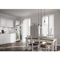 Однокамерный холодильник Liebherr IRBdi 5181 Peak BioFresh - Превью изображения №4 — Интернет-магазин ПроЗаказ