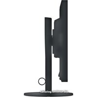 Монитор EIZO FlexScan EV2430-BK - Превью изображения №7 — Интернет-магазин ПроЗаказ