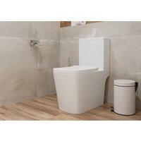 Унитаз напольный Lauter W09 S-TRAP с жестким сиденьем и микролифтом 21900004 (вертикальный выпуск) - Превью изображения №6 — Интернет-магазин ПроЗаказ