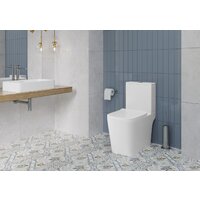 Унитаз напольный Lauter W09 S-TRAP с жестким сиденьем и микролифтом 21900004 (вертикальный выпуск) - Превью изображения №9 — Интернет-магазин ПроЗаказ
