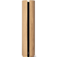 Беспроводная аудиосистема Bang & Olufsen Beosound Emerge (золотистый/светлый дуб) - Превью изображения №2 — Интернет-магазин ПроЗаказ
