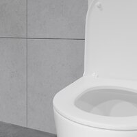 Унитаз напольный Lauter Vortex 2110022VF + гигиенический душ Glow 21LT0222BM - Превью изображения №22 — Интернет-магазин ПроЗаказ