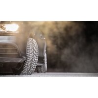 Зимние шины Nokian Tyres Nordman 7 195/55R15 89T (шипы) - Превью изображения №5 — Интернет-магазин ПроЗаказ
