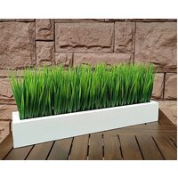 Искусственное растение Forgarden FGK28 BN10739 - Превью изображения №5 — Интернет-магазин ПроЗаказ