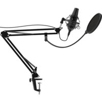 Проводной микрофон Ritmix RDM-180 - Превью изображения №2 — Интернет-магазин ПроЗаказ