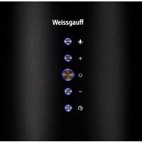 Кухонная вытяжка Weissgauff Gracia BL - Превью изображения №6 — Интернет-магазин ПроЗаказ