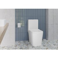 Унитаз напольный Lauter W09 S-TRAP с полипропиленовым сиденьем и микролифтом 21900003 (вертикальный выпуск) - Превью изображения №11 — Интернет-магазин ПроЗаказ