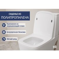 Унитаз напольный Lauter W09 S-TRAP с полипропиленовым сиденьем и микролифтом 21900003 (вертикальный выпуск) - Превью изображения №4 — Интернет-магазин ПроЗаказ