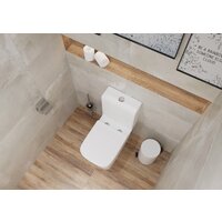 Унитаз напольный Lauter W09 S-TRAP с полипропиленовым сиденьем и микролифтом 21900003 (вертикальный выпуск) - Превью изображения №7 — Интернет-магазин ПроЗаказ