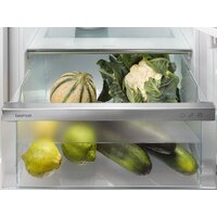 Холодильник Liebherr ICNd 5603 Pure NoFrost - Превью изображения №16 — Интернет-магазин ПроЗаказ