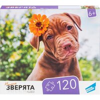 Пазл Dream Makers Зверята RI1203C - Превью изображения №2 — Интернет-магазин ПроЗаказ