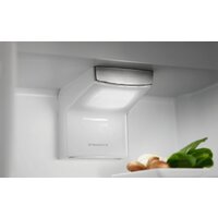 Холодильник Electrolux LNS6TE19S - Превью изображения №3 — Интернет-магазин ПроЗаказ