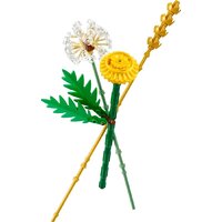 Конструктор LEGO The Botanical Collection 30701 Полевые цветы - Превью изображения №2 — Интернет-магазин ПроЗаказ