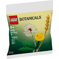 LEGO The Botanical Collection 30701 Полевые цветы