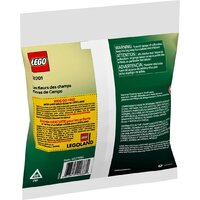 Конструктор LEGO The Botanical Collection 30701 Полевые цветы - Превью изображения №3 — Интернет-магазин ПроЗаказ