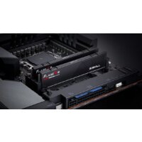 Оперативная память G.Skill Flare X5 2x24ГБ DDR5 5600 МГц F5-5600J4040D24GX2-FX5 - Превью изображения №5 — Интернет-магазин ПроЗаказ
