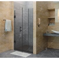 Душевая дверь RGW HO-012B 110 (черный/прозрачное стекло) - Превью изображения №2 — Интернет-магазин ПроЗаказ